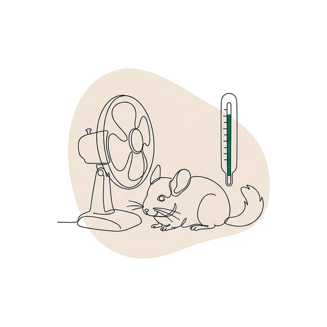 Chinchilla allongé près d’un ventilateur à côté d’un grand thermomètre